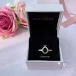 Imagen anterior del producto