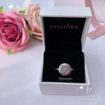 Imagen anterior del producto