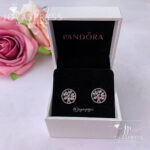 Imagen anterior del producto