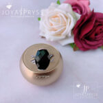 Imagen anterior del producto