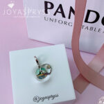 Imagen anterior del producto