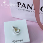 Imagen anterior del producto