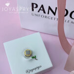 Imagen anterior del producto