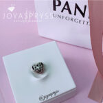 Imagen anterior del producto