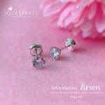 Imagen anterior del producto