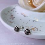 Imagen anterior del producto