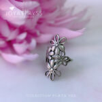 Imagen anterior del producto