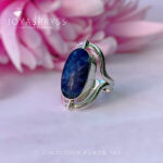 Imagen anterior del producto