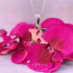 Imagen anterior del producto