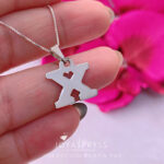 Imagen anterior del producto