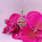 Imagen anterior del producto