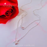 Imagen anterior del producto