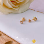 Imagen anterior del producto