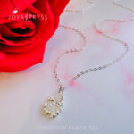 Imagen anterior del producto