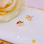 Imagen anterior del producto